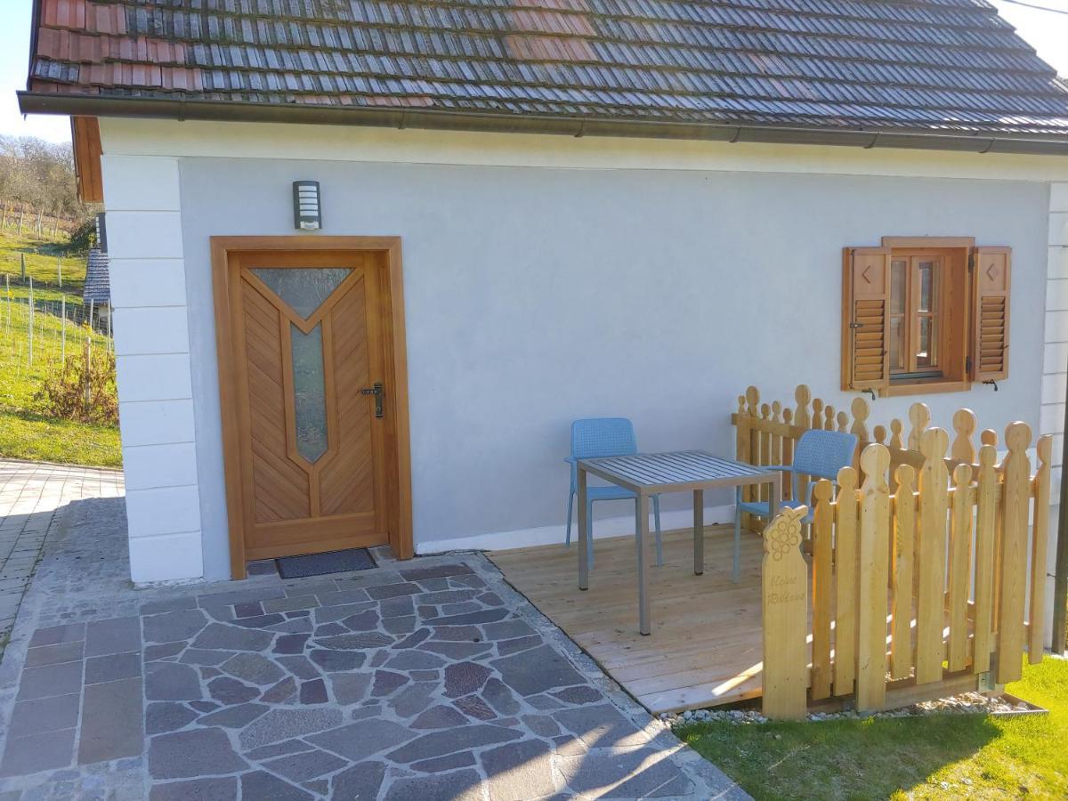 Kleine Reblaus Apartment Bad Waltersdorf Exterior photo